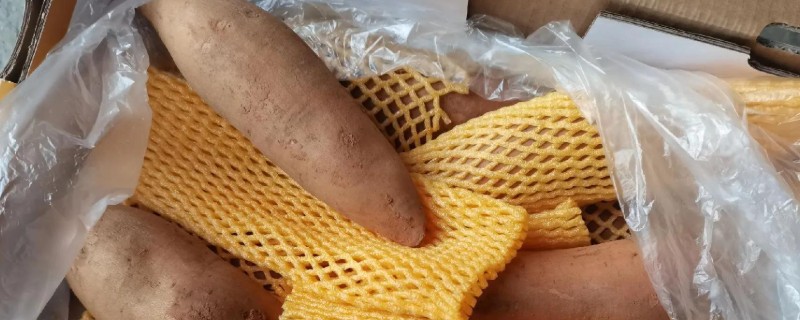 怎么保存雪莲果,用保鲜膜包裹放在阴凉处