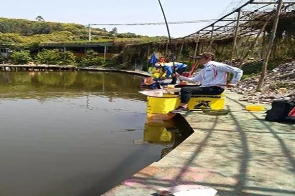 黑坑什么天气好钓鱼，微风、气压较高的时候好钓鱼