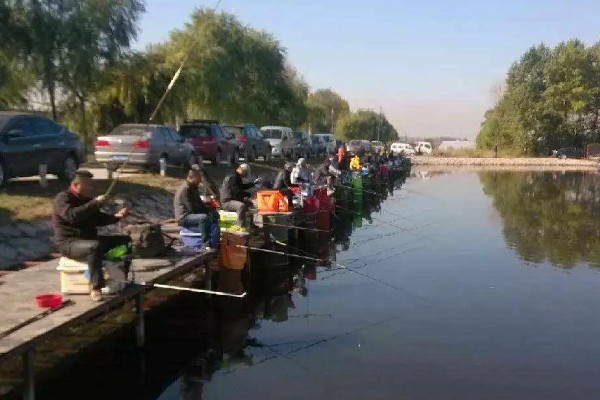 黑坑什么天气好钓鱼，微风、气压较高的时候好钓鱼