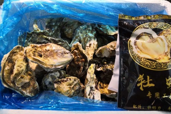林黑文厚牡蛎的原产地，原产地在圣罗伦斯湾到西印度洋群岛
