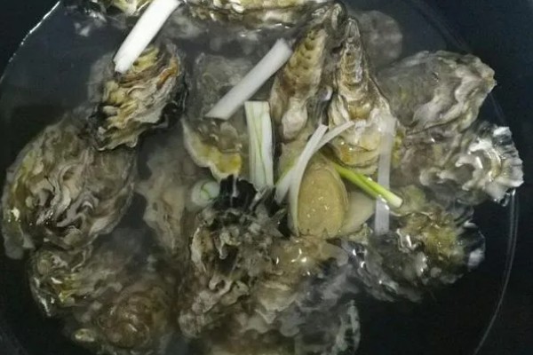 林黑文厚牡蛎的原产地，原产地在圣罗伦斯湾到西印度洋群岛