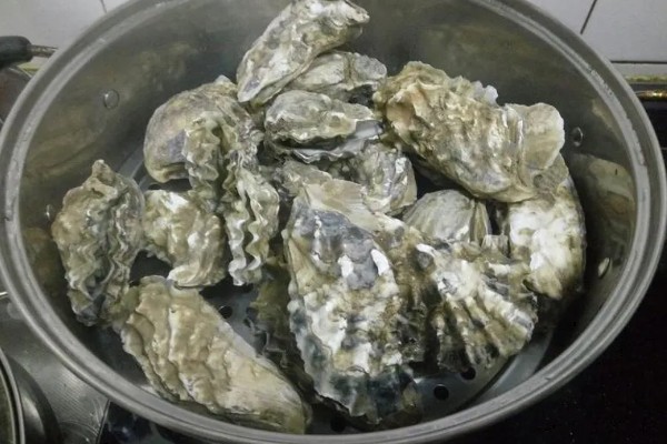 林黑文厚牡蛎的原产地，原产地在圣罗伦斯湾到西印度洋群岛