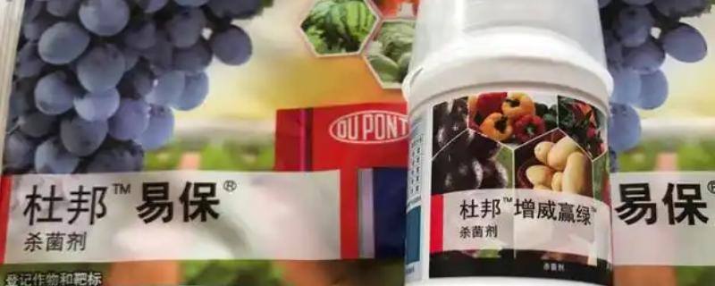 易保杀菌剂的作用是什么，有助于预防病原菌的发生