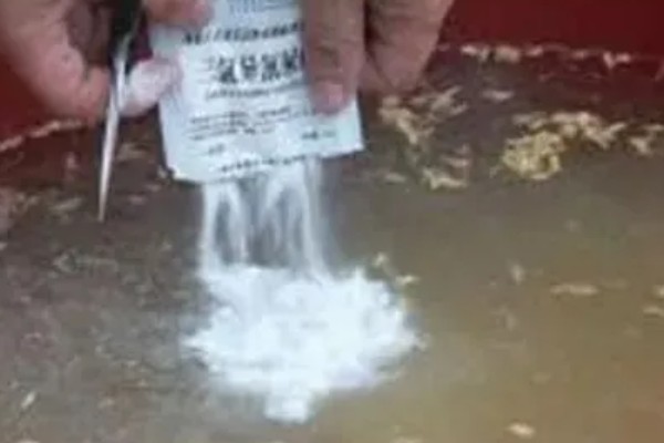 水稻病毒病的种类，有黑条矮缩病、橙叶病等