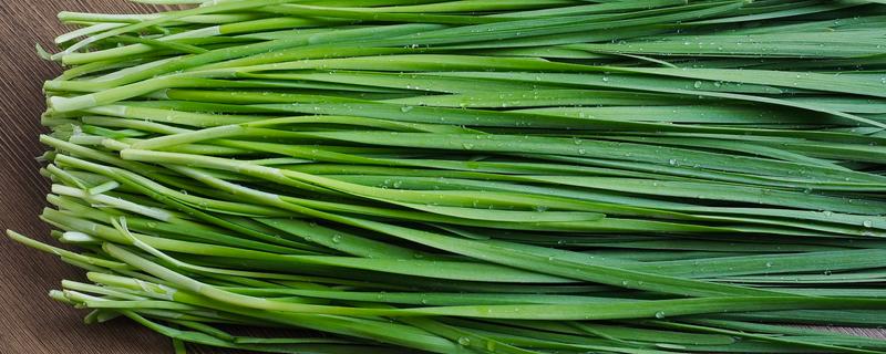 韭菜的品种，有本地细叶韭菜、大叶韭菜等