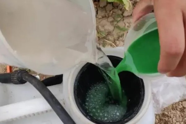 呋虫胺的使用方法与用量，针对不同害虫的防治方法不同