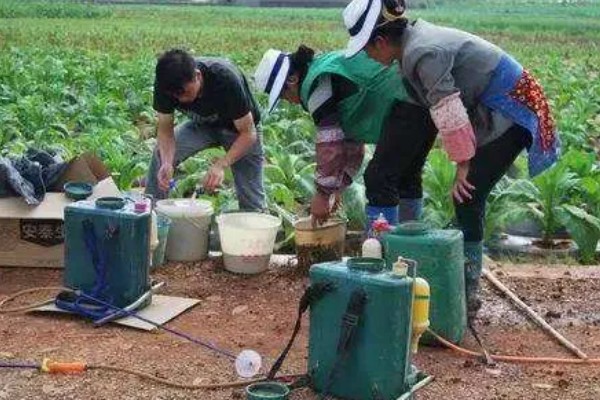 呋虫胺的使用方法与用量，针对不同害虫的防治方法不同