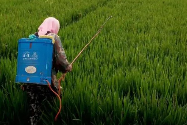 呋虫胺的使用方法与用量，针对不同害虫的防治方法不同