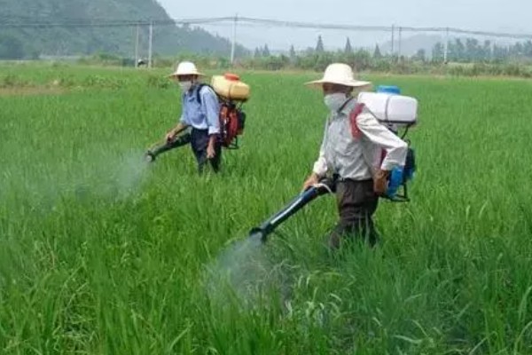 呋虫胺的使用方法与用量，针对不同害虫的防治方法不同
