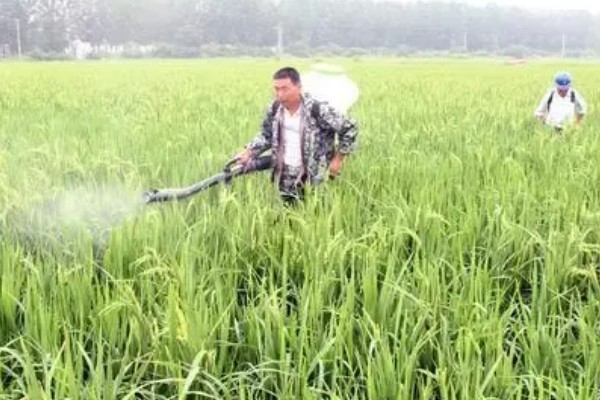 呋虫胺的使用方法与用量，针对不同害虫的防治方法不同