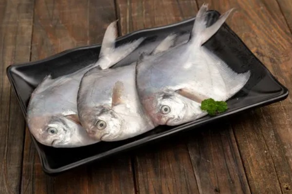 鱼是不是恒温动物，鱼不是恒温动物