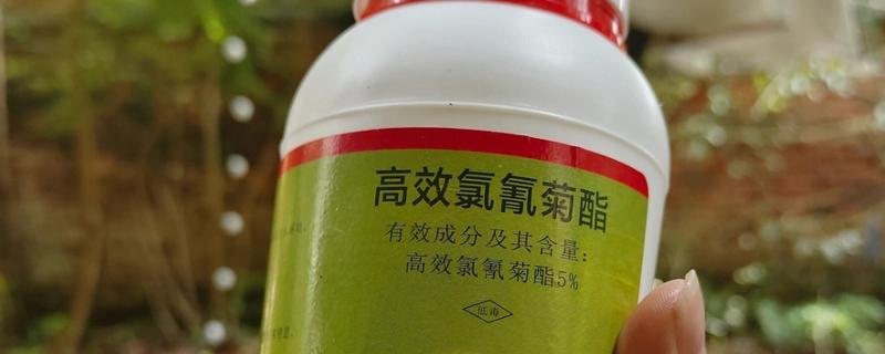 高效氯氰菊酯的使用方式，针对不同害虫的使用方法不同