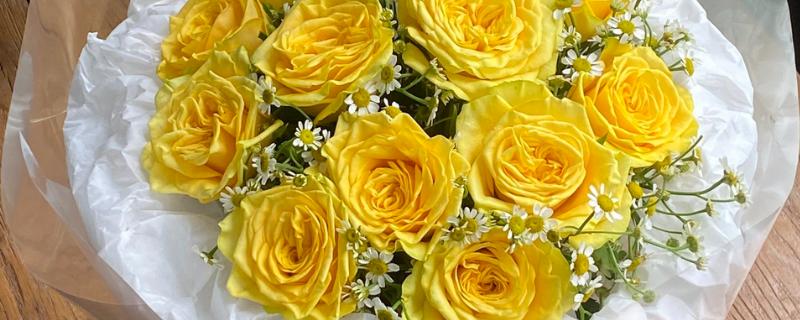 7朵黄玫瑰的花语，寓意偷偷爱着你