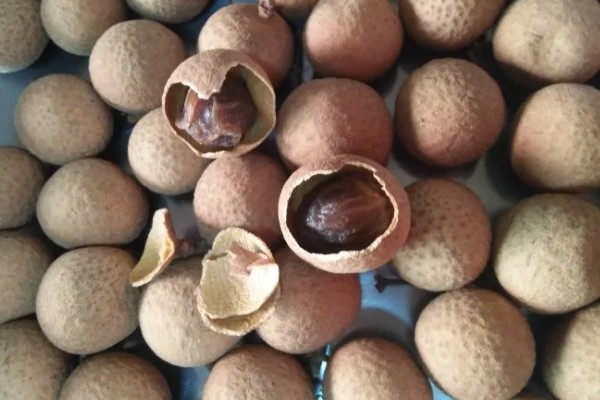 特级桂圆肉的价格,特级桂圆肉售卖价格50元一斤