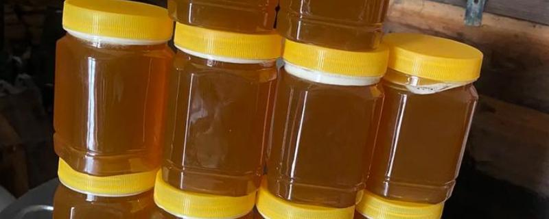 为什么乌桕蜜结晶粗,是真蜂蜜固有的物理特性