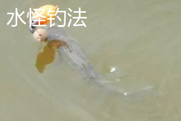 鲢鱼的钓法,可以采用爆炸钩钓法、翻板钩钓法等