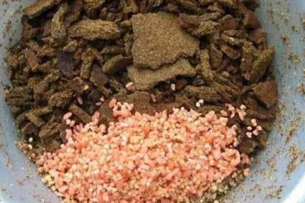 鲢鱼的钓法,可以采用爆炸钩钓法、翻板钩钓法等