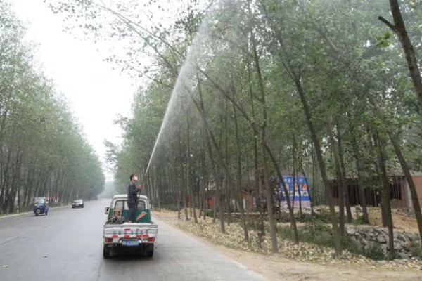 杨树的腐烂病的症状，发病初期病部呈暗灰色