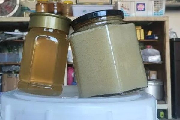 柃木什么时候流蜜，在10月至翌年2月