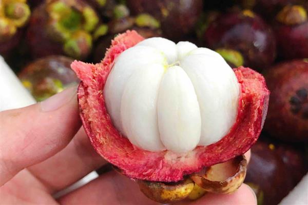 山竹是不是夏季水果,是夏季的水果