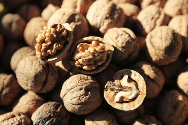 五亩核桃一年的收入,一年的收入在15000元左右