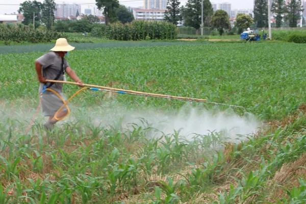 二甲戊灵一亩地用多少，针对不同作物的使用量不同