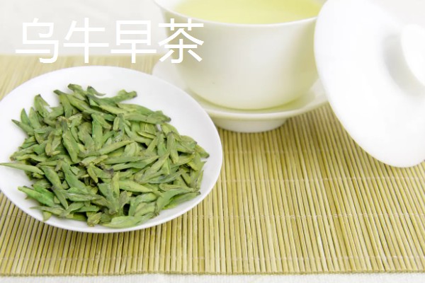 浙江省永嘉县的特产，有东皋红柿、陡门金银花等