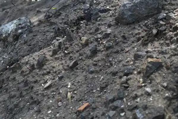 土壤种什么都死的原因，可能是土壤板结所致