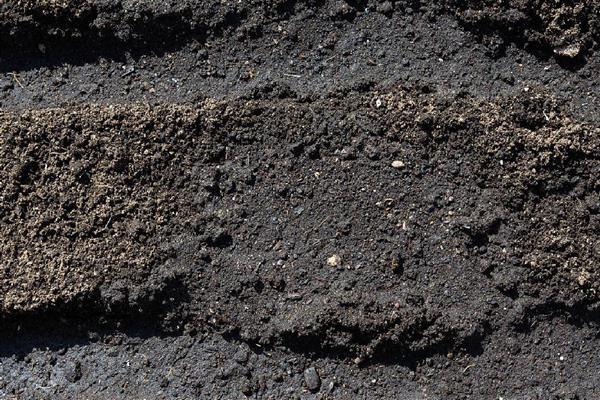 土壤种什么都死的原因，可能是土壤板结所致