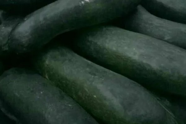 黑皮冬瓜的价格,一斤0.6-0.8元