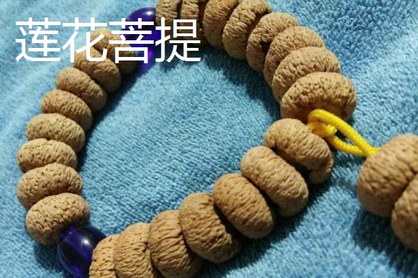 木瓜龙眼和山地龙眼菩提的区别，产地和质感不同