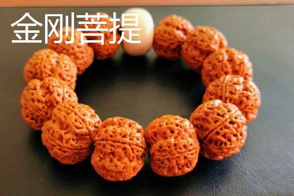 木瓜龙眼和山地龙眼菩提的区别，产地和质感不同