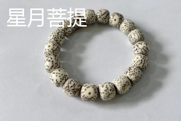 木瓜龙眼和山地龙眼菩提的区别，产地和质感不同