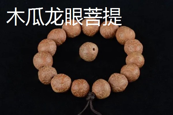 木瓜龙眼和山地龙眼菩提的区别，产地和质感不同