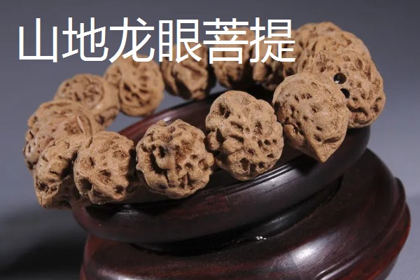 木瓜龙眼和山地龙眼菩提的区别，产地和质感不同