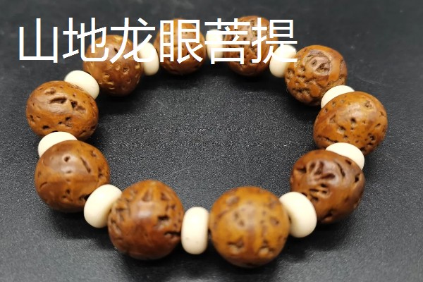 木瓜龙眼和山地龙眼菩提的区别，产地和质感不同