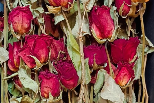 99朵玫瑰的花语，寓意长长久久的感情