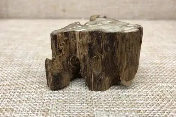 白奇楠沉香有哪些特征，气味清香且持久