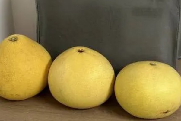 柚子几月份成熟,在9-12月份就会成熟