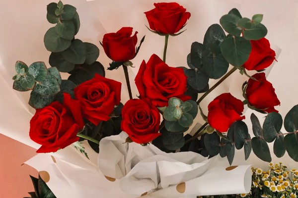 送玫瑰花的寓意,不同朵数的寓意不同
