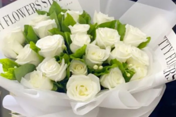 送玫瑰花的寓意,不同朵数的寓意不同