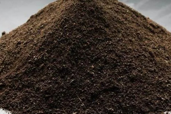 种植葡萄的施肥方法，秋施基肥可以在9月下旬进行