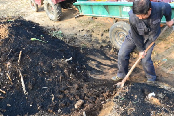 种植葡萄的施肥方法，秋施基肥可以在9月下旬进行