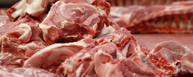 如何辨别猪瘟的肉，皮肤各处都有红色出血点