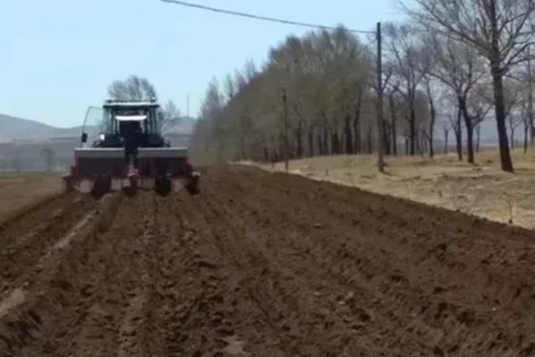 胡椒的生长习性，现广植于热带地区