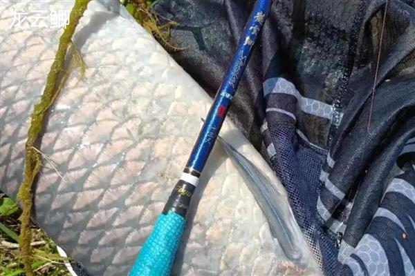 鲫鱼竿推荐，推荐光威、达瓦等