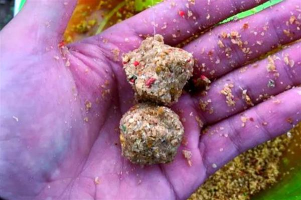 筏钓鲤鱼用哪种饵料，推荐蚯蚓、红虫、麦粒等