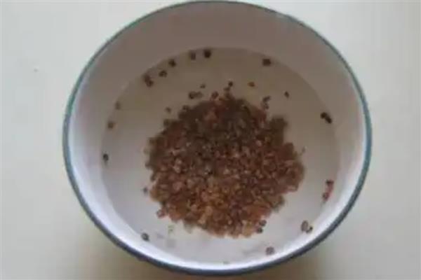 蔬菜种子的储藏方法，可将收获后的蔬菜种子捆扎成把