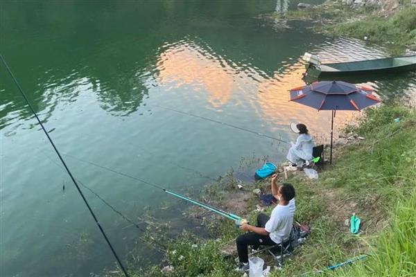 鱼竿调性和硬度有什么区别，前者指鱼竿的受力弯曲点、后者指竿体的抗弯曲能力