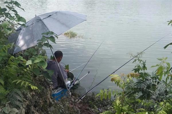 鱼竿调性和硬度有什么区别，前者指鱼竿的受力弯曲点、后者指竿体的抗弯曲能力